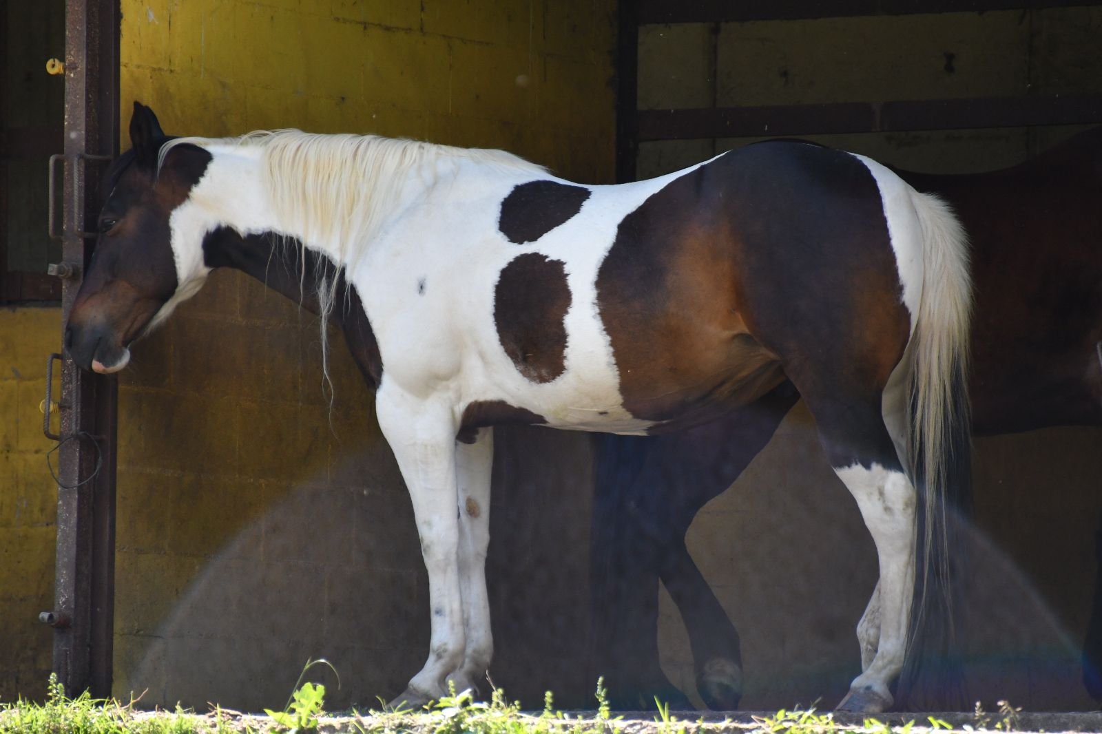 Raduno%20Rag%20del%2059%20del%2017_05_2025%20(26)